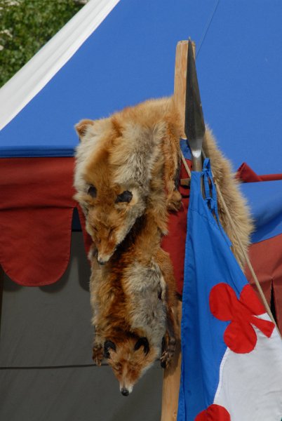 DSC_3336.JPG