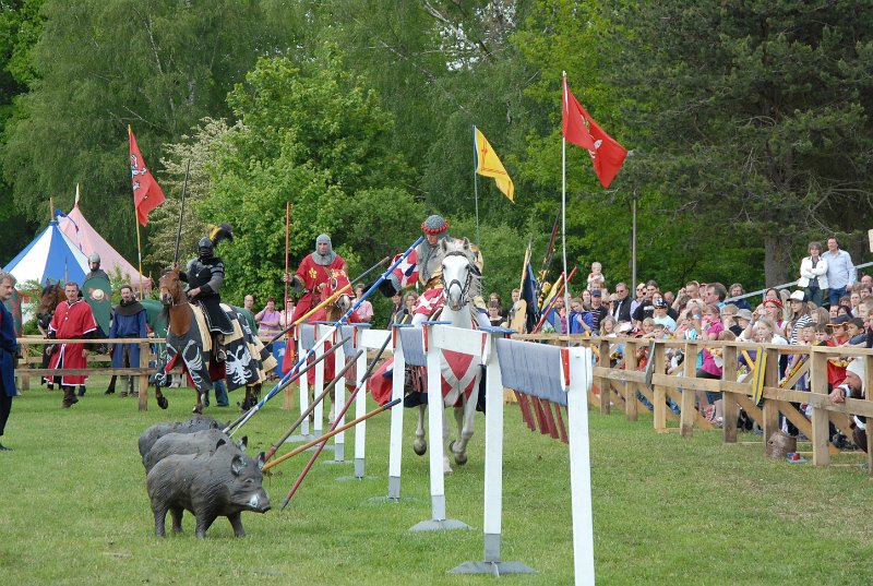DSC_3397.JPG