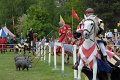 DSC_3404